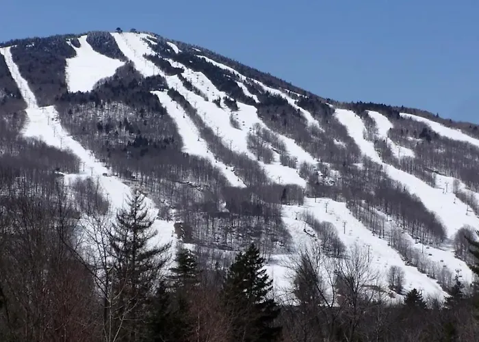Mount Snow Best View - Sauna - Hottub - Pool - Fireplace